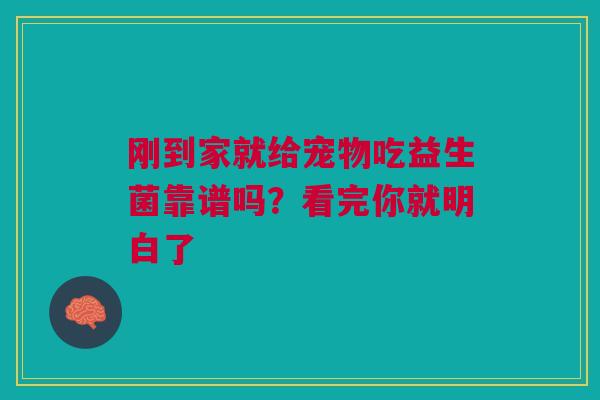 刚到家就给宠物吃益生菌靠谱吗？看完你就明白了