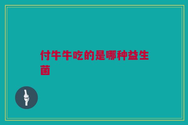 付牛牛吃的是哪种益生菌