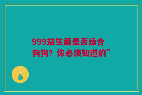 999益生菌是否适合狗狗？你必须知道的”