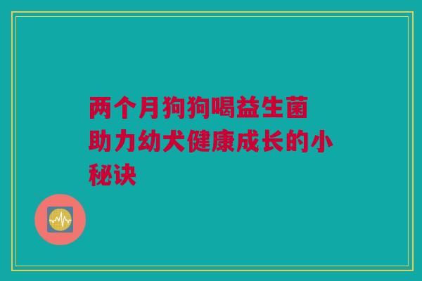 两个月狗狗喝益生菌 助力幼犬健康成长的小秘诀