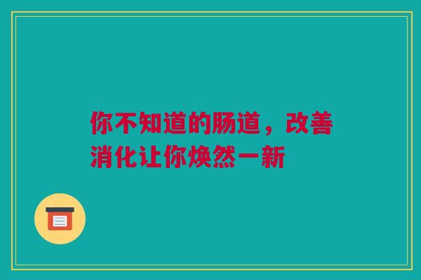 你不知道的肠道，改善消化让你焕然一新