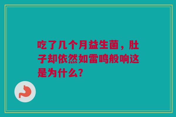 吃了几个月益生菌，肚子却依然如雷鸣般响这是为什么？