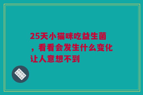 25天小猫咪吃益生菌，看看会发生什么变化让人意想不到