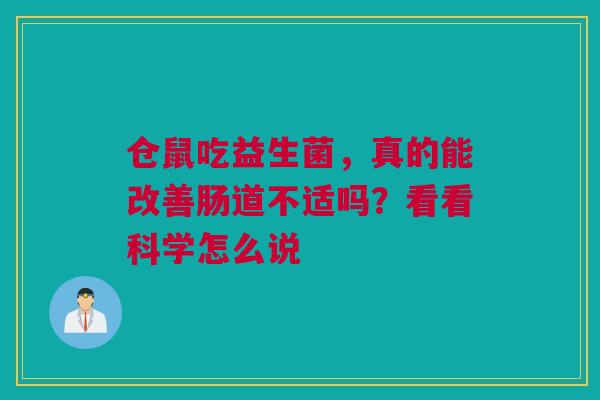 仓鼠吃益生菌，真的能改善肠道不适吗？看看科学怎么说
