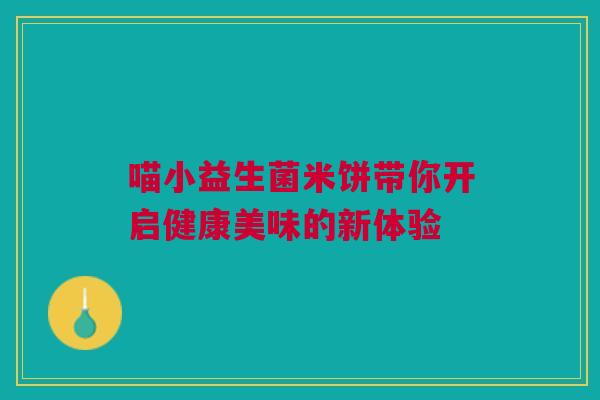 喵小益生菌米饼带你开启健康美味的新体验