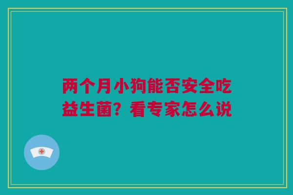 两个月小狗能否安全吃益生菌？看专家怎么说