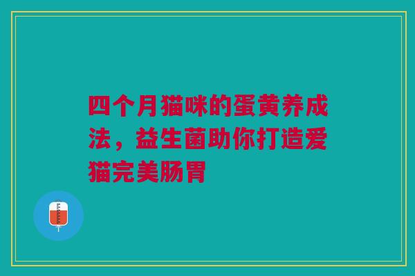 四个月猫咪的蛋黄养成法，益生菌助你打造爱猫完美肠胃