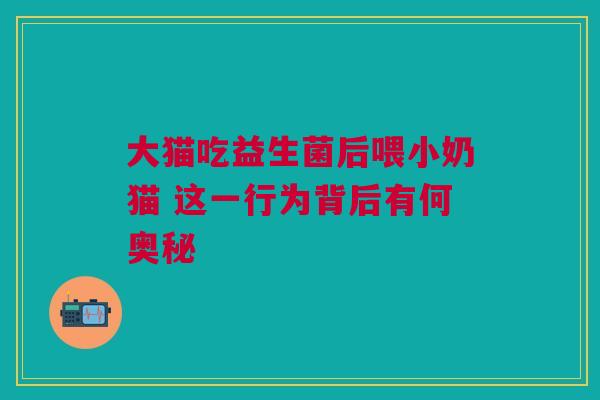 大猫吃益生菌后喂小奶猫 这一行为背后有何奥秘