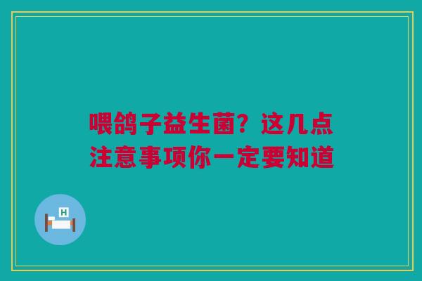 喂鸽子益生菌？这几点注意事项你一定要知道