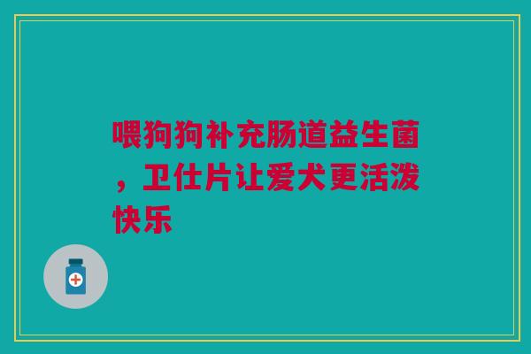 喂狗狗补充肠道益生菌，卫仕片让爱犬更活泼快乐