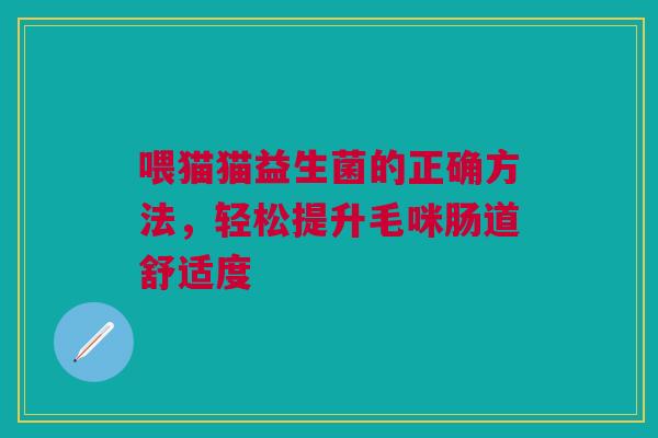 喂猫猫益生菌的正确方法，轻松提升毛咪肠道舒适度
