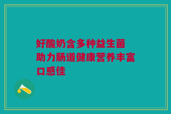 好酸奶含多种益生菌 助力肠道健康营养丰富口感佳