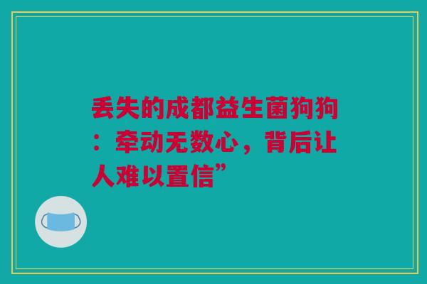 丢失的成都益生菌狗狗：牵动无数心，背后让人难以置信”