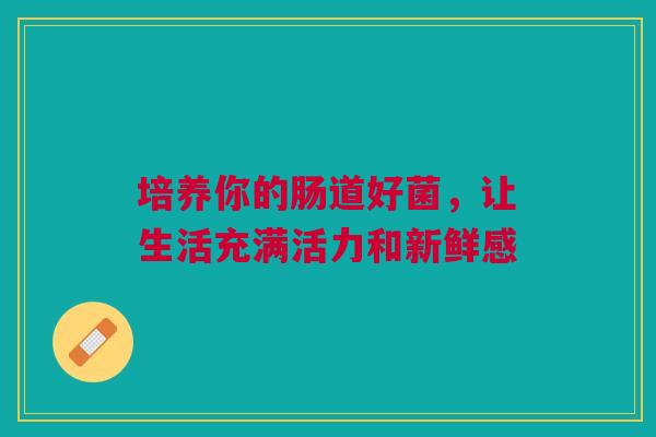 培养你的肠道好菌，让生活充满活力和新鲜感