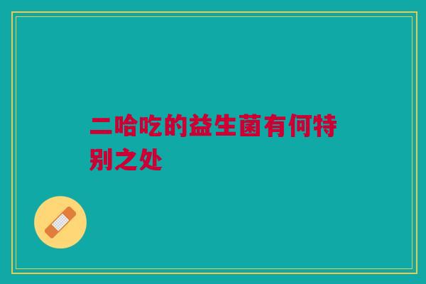 二哈吃的益生菌有何特别之处