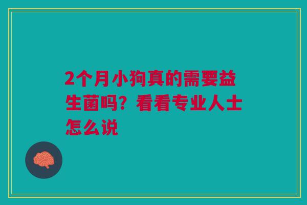 2个月小狗真的需要益生菌吗？看看专业人士怎么说