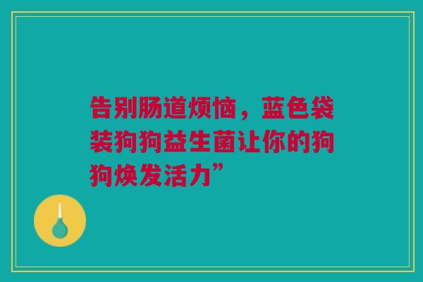 告别肠道烦恼，蓝色袋装狗狗益生菌让你的狗狗焕发活力”