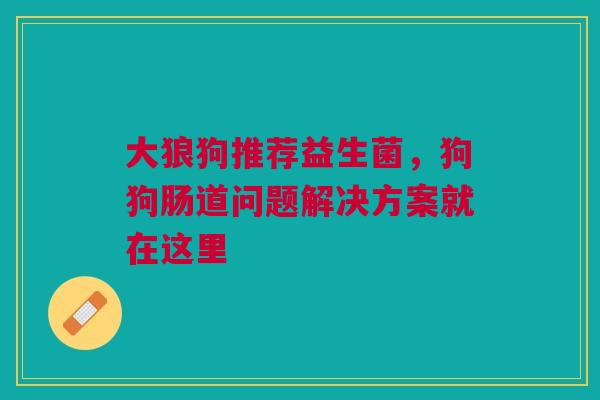 大狼狗推荐益生菌，狗狗肠道问题解决方案就在这里