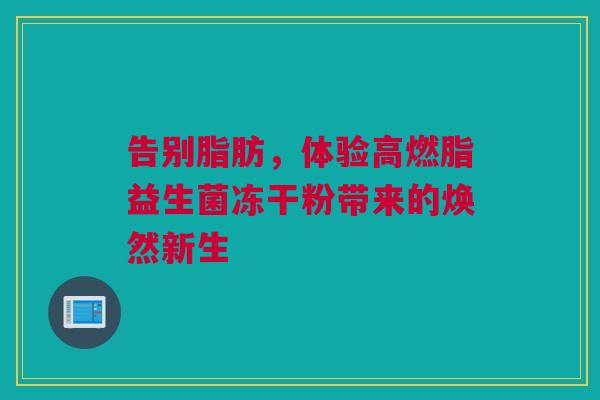 告别脂肪，体验高燃脂益生菌冻干粉带来的焕然新生