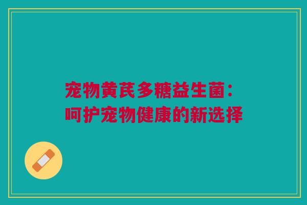 宠物黄芪多糖益生菌：呵护宠物健康的新选择