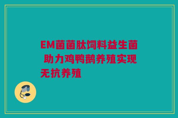 EM菌菌肽饲料益生菌 助力鸡鸭鹅养殖实现无抗养殖