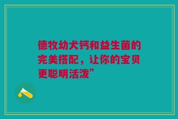 德牧幼犬钙和益生菌的完美搭配，让你的宝贝更聪明活泼”