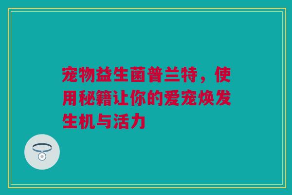 宠物益生菌普兰特，使用秘籍让你的爱宠焕发生机与活力