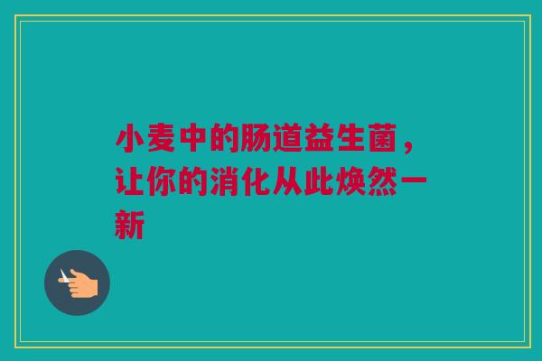 小麦中的肠道益生菌，让你的消化从此焕然一新