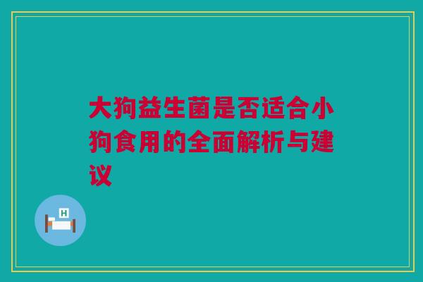 大狗益生菌是否适合小狗食用的全面解析与建议