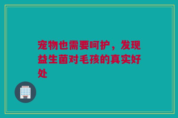宠物也需要呵护，发现益生菌对毛孩的真实好处