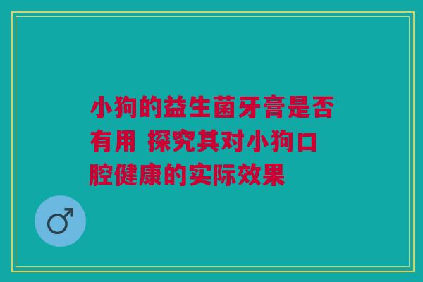 小狗的益生菌牙膏是否有用 探究其对小狗口腔健康的实际效果