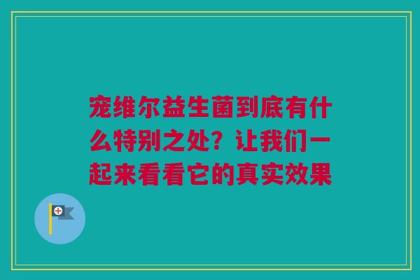 宠维尔益生菌到底有什么特别之处？让我们一起来看看它的真实效果