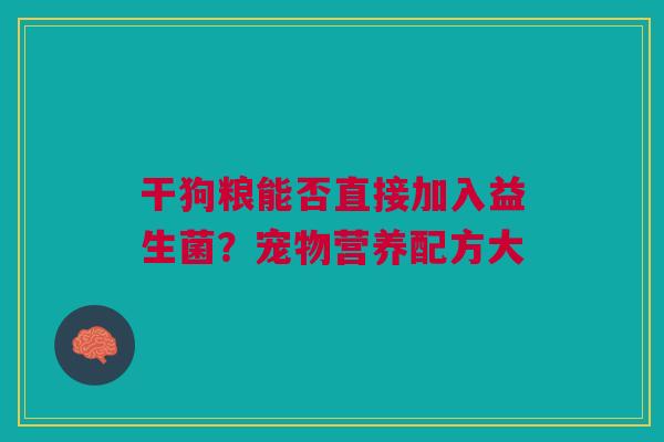 干狗粮能否直接加入益生菌？宠物营养配方大