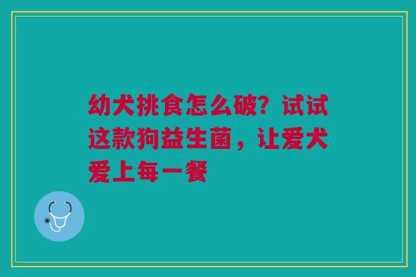 幼犬挑食怎么破？试试这款狗益生菌，让爱犬爱上每一餐