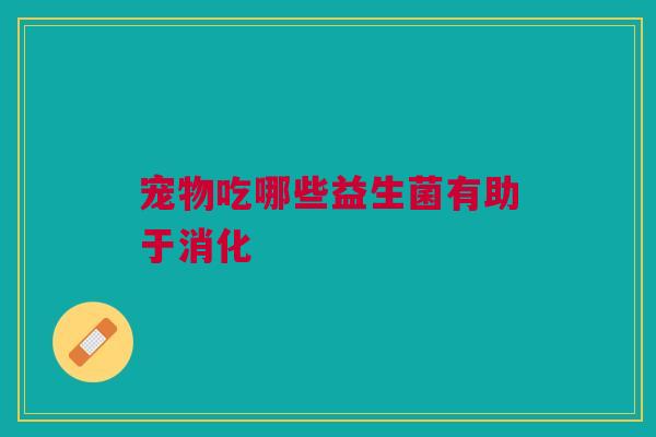 宠物吃哪些益生菌有助于消化