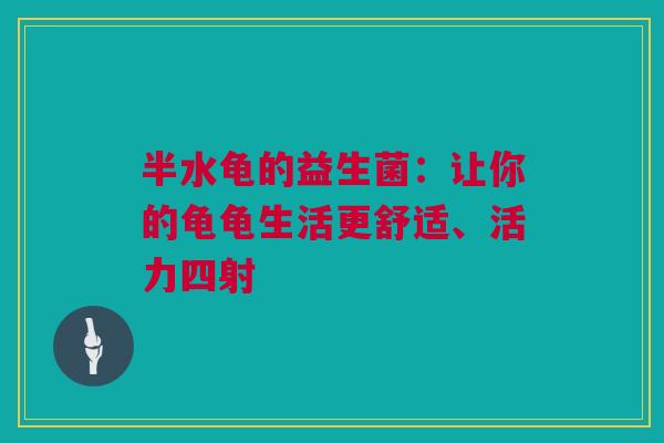 半水龟的益生菌：让你的龟龟生活更舒适、活力四射
