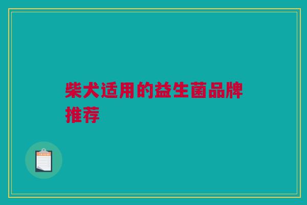 柴犬适用的益生菌品牌推荐
