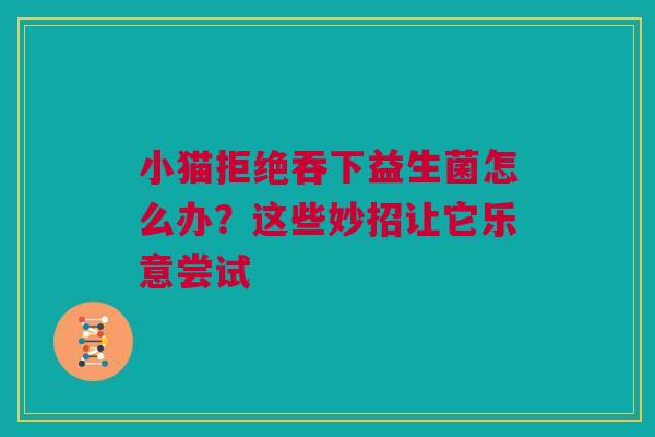 小猫拒绝吞下益生菌怎么办？这些妙招让它乐意尝试