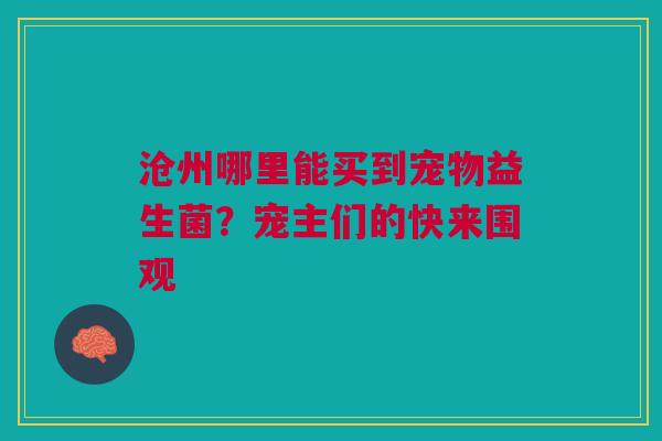 沧州哪里能买到宠物益生菌？宠主们的快来围观