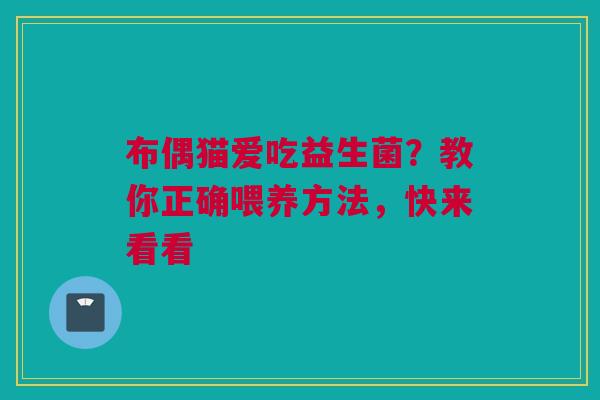 布偶猫爱吃益生菌？教你正确喂养方法，快来看看