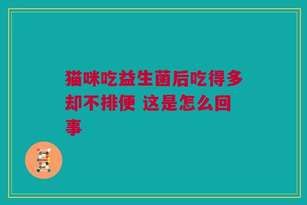 猫咪吃益生菌后吃得多却不排便 这是怎么回事