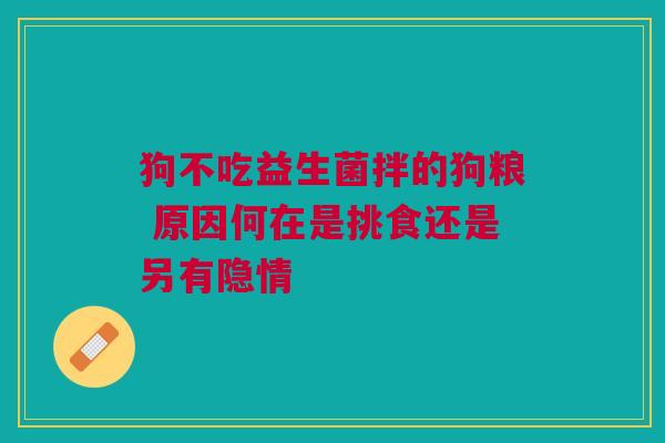 狗不吃益生菌拌的狗粮 原因何在是挑食还是另有隐情