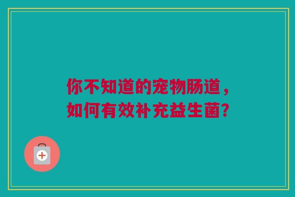 你不知道的宠物肠道，如何有效补充益生菌？