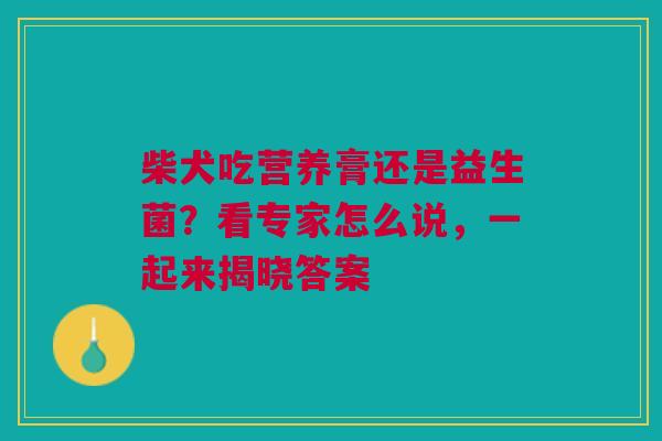 柴犬吃营养膏还是益生菌？看专家怎么说，一起来揭晓答案