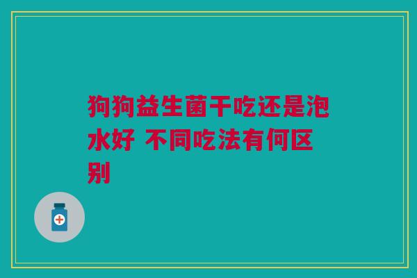 狗狗益生菌干吃还是泡水好 不同吃法有何区别