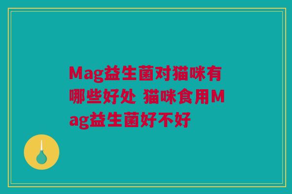 Mag益生菌对猫咪有哪些好处 猫咪食用Mag益生菌好不好