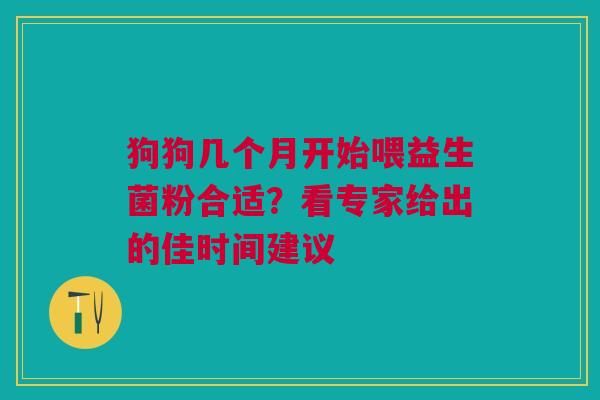 狗狗几个月开始喂益生菌粉合适？看专家给出的佳时间建议