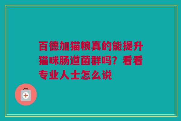 百德加猫粮真的能提升猫咪肠道菌群吗？看看专业人士怎么说