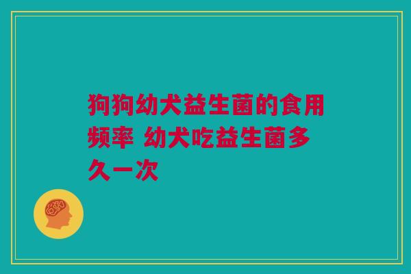 狗狗幼犬益生菌的食用频率 幼犬吃益生菌多久一次