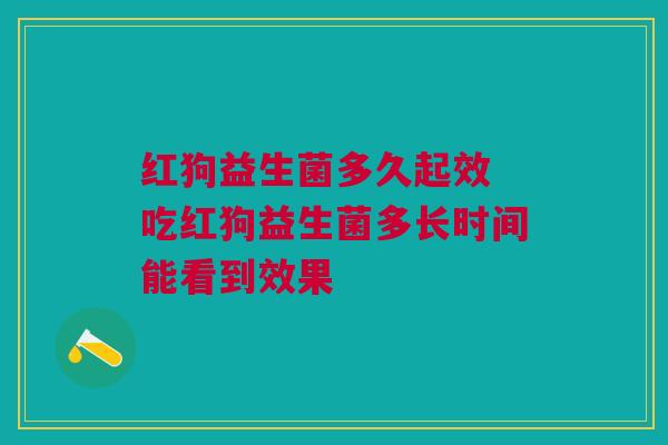 红狗益生菌多久起效 吃红狗益生菌多长时间能看到效果